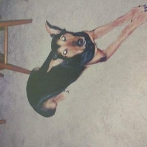 Meet your Posher, Nelty